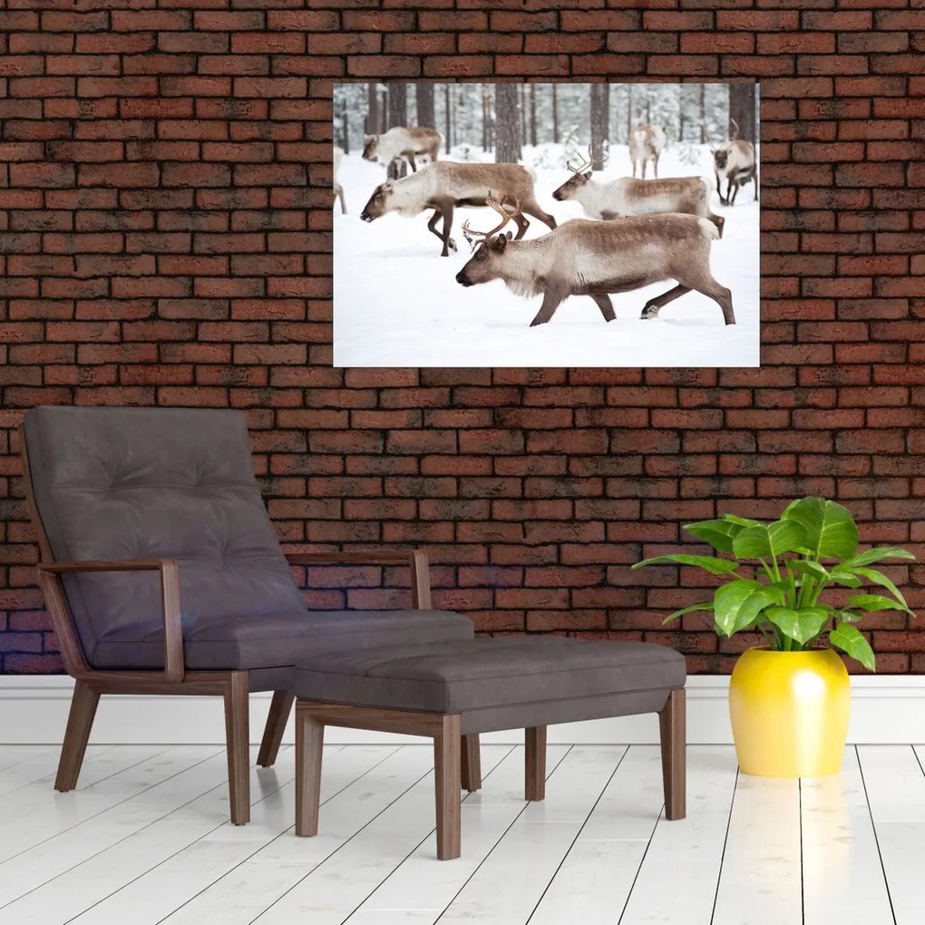 Tablou - Renul (90x60 cm)