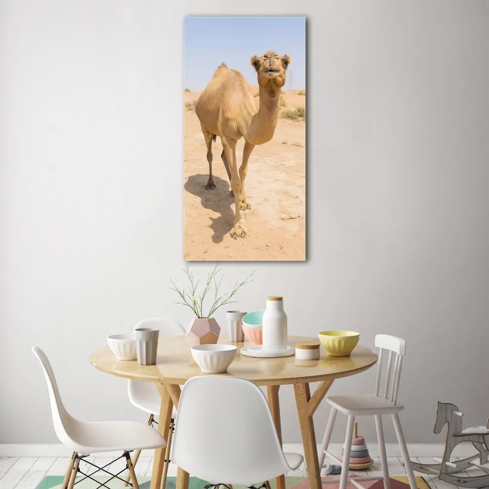 Fotografie imprimată pe sticlă Camel în deșert
