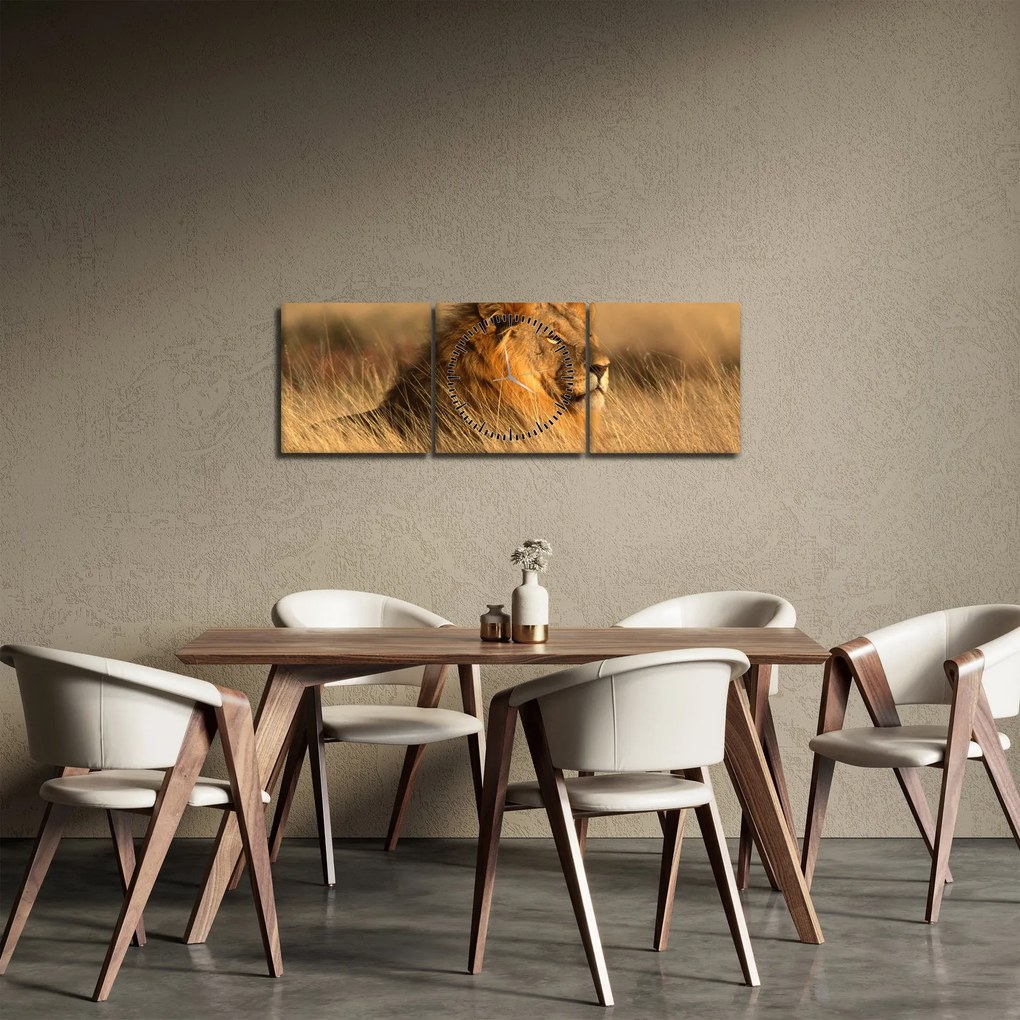 Tablou - Parcul Național Etosha (cu ceas) (90x30 cm)