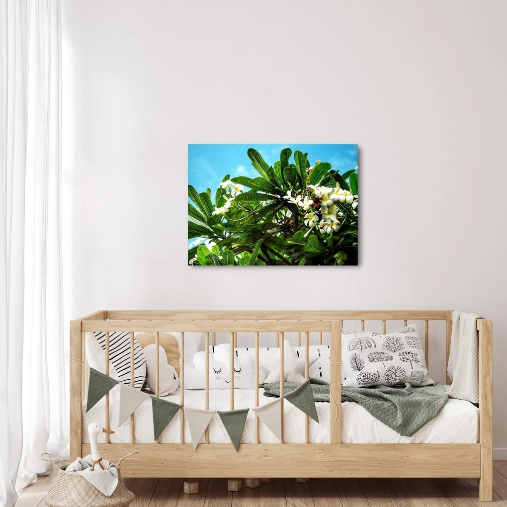 Tablou - Plumeria (70x50 cm)