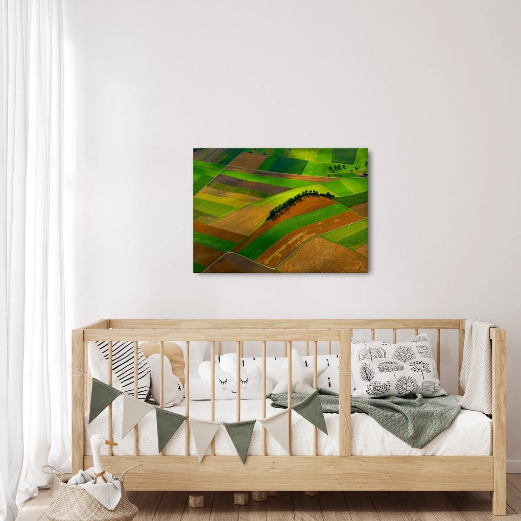 Tablou - Lan, luncile (70x50 cm)