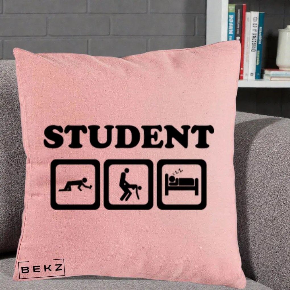 Perna Decorativa Student Life, 40x40 cm, Roz, Husa Detasabila, Perna Inclusa, BEKZ®