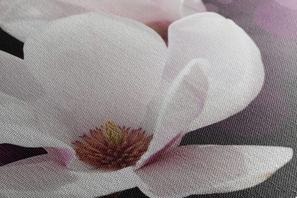 Tablou magnolie pe fundal abstract