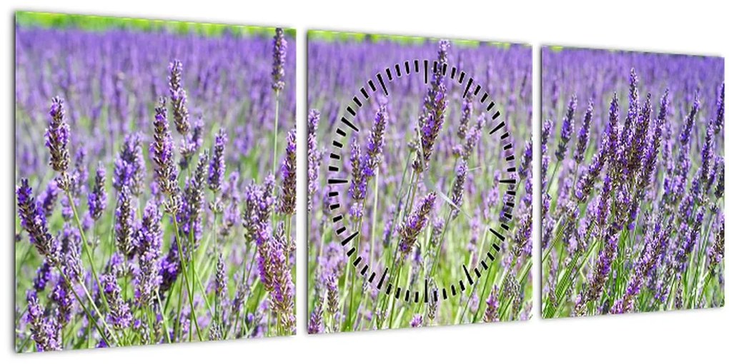 Tablou - Lavandă în câmp (cu ceas) (90x30 cm)