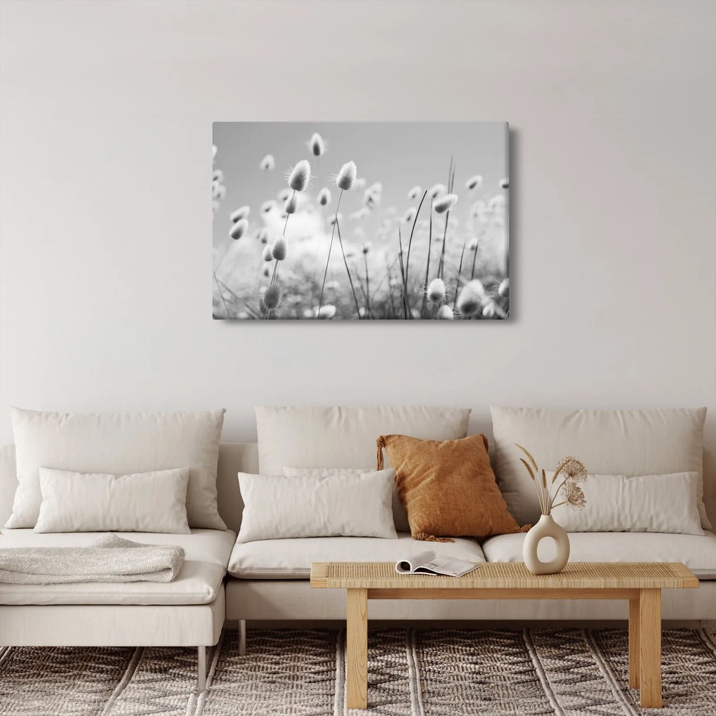 Tablou - Boho iepuraș coadă de iarbă (90x60 cm)