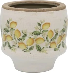 Ghiveci Limone Blossom cu lămâi și flori