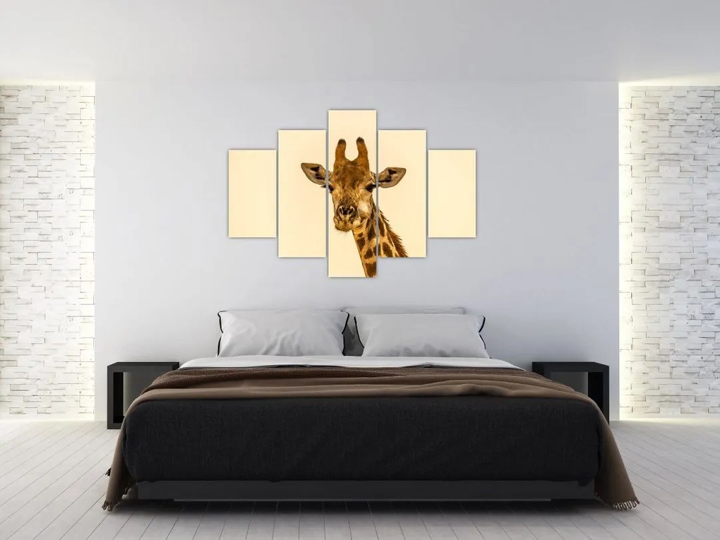 Tablou cu girafe (150x105 cm)