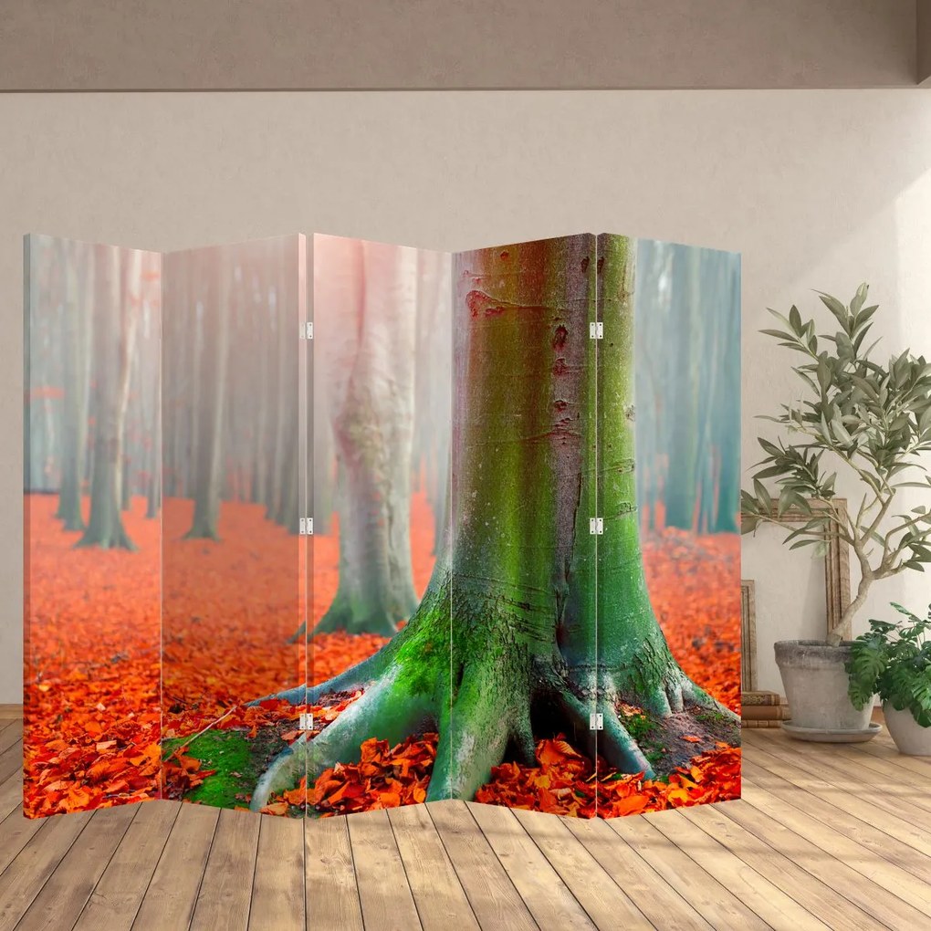 Paravan - Pomi (210x170 cm)