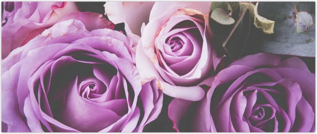 Tablou - Trandafiri (120x50 cm)