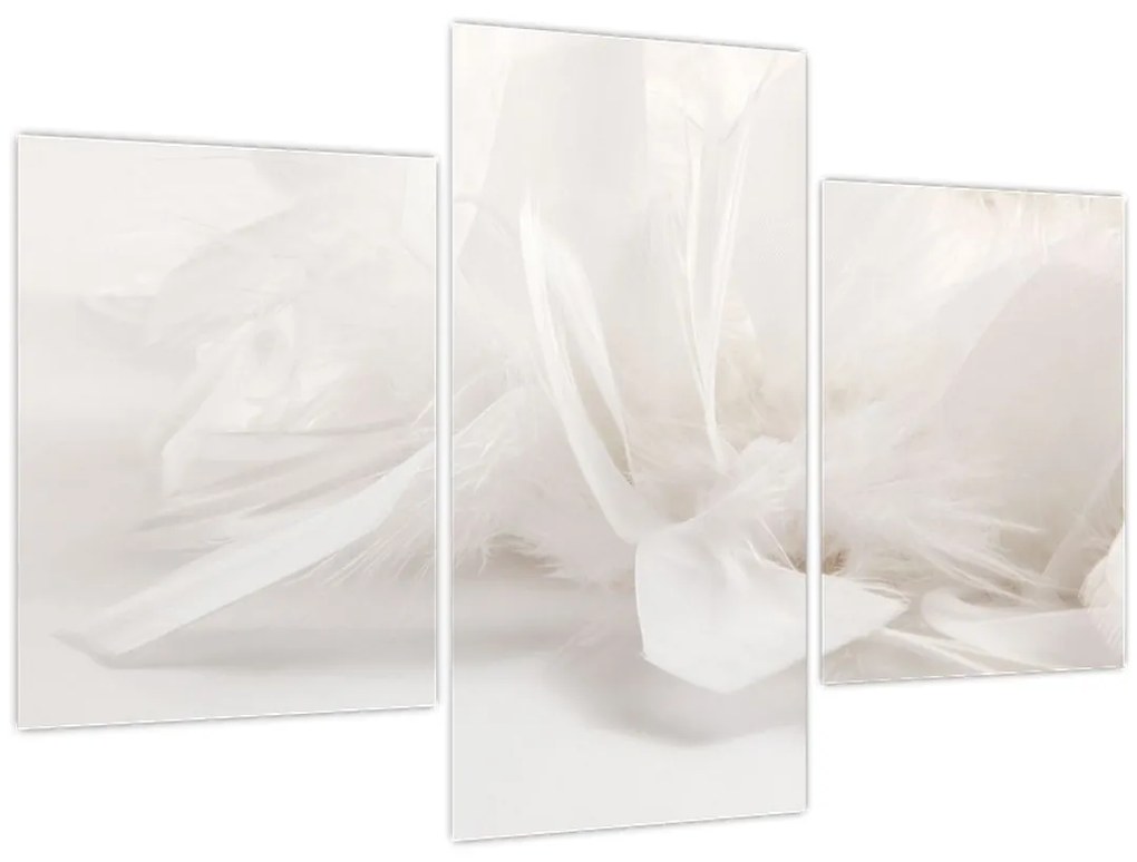 Tablou - Pană (90x60 cm)