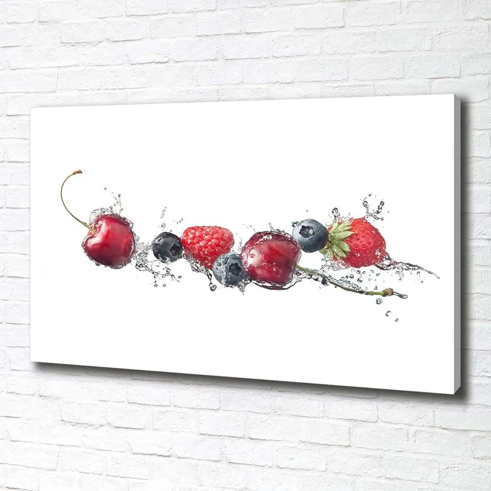 Tablou canvas Fructe de padure