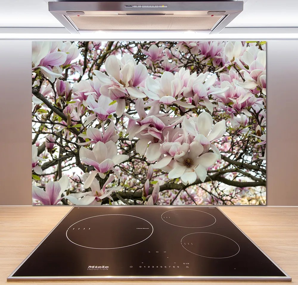 Sticlă pentru bucătărie Flori magnolia