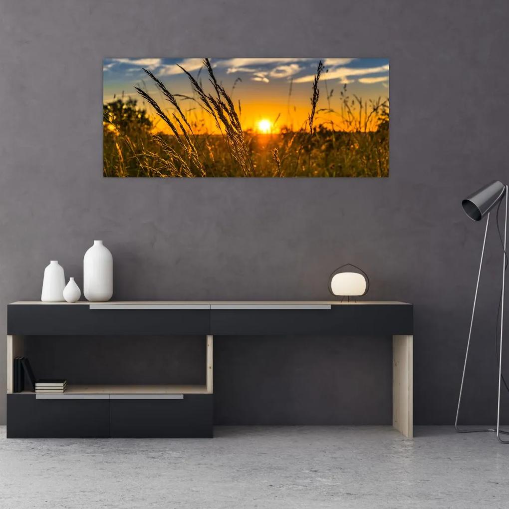 Tablou cu câmp în apus de soare (120x50 cm), în 40 de alte dimensiuni noi