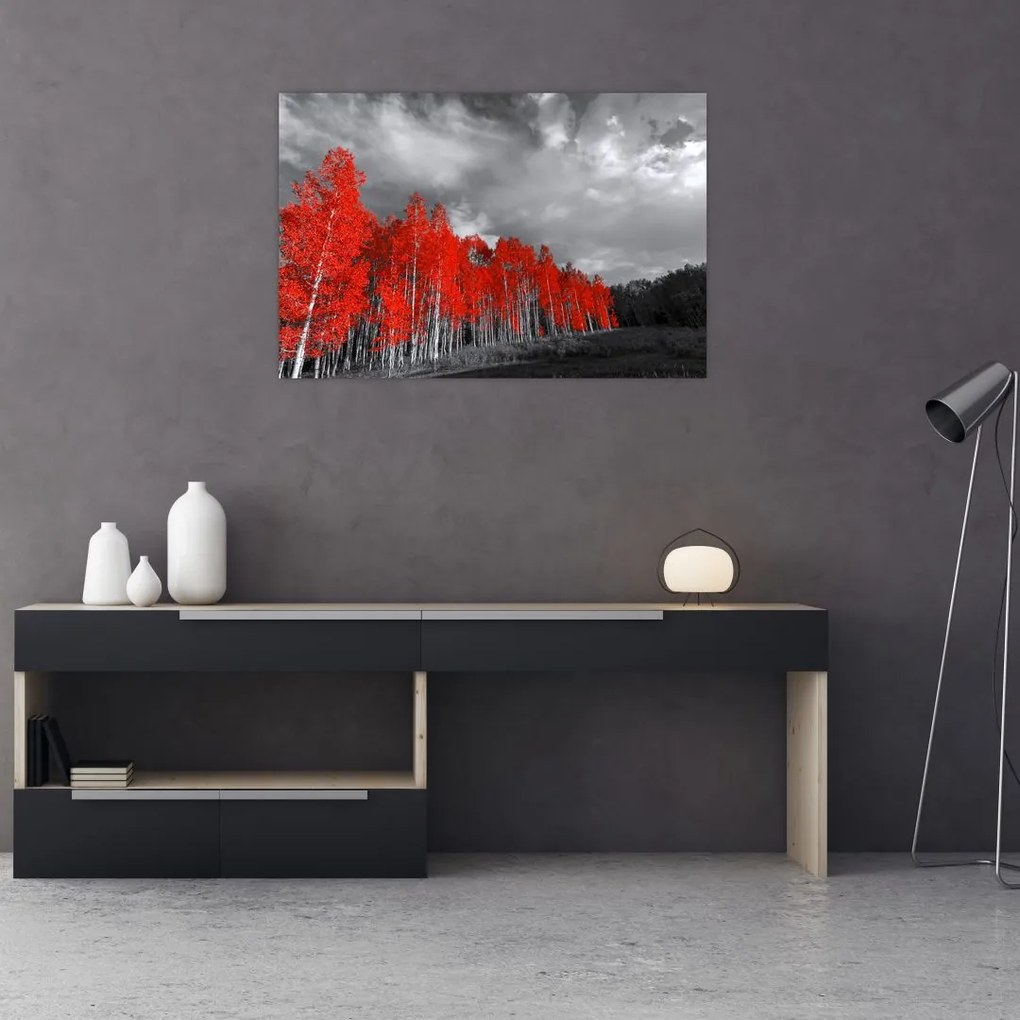 Tablou - Copaci în culorile toamnei (90x60 cm)