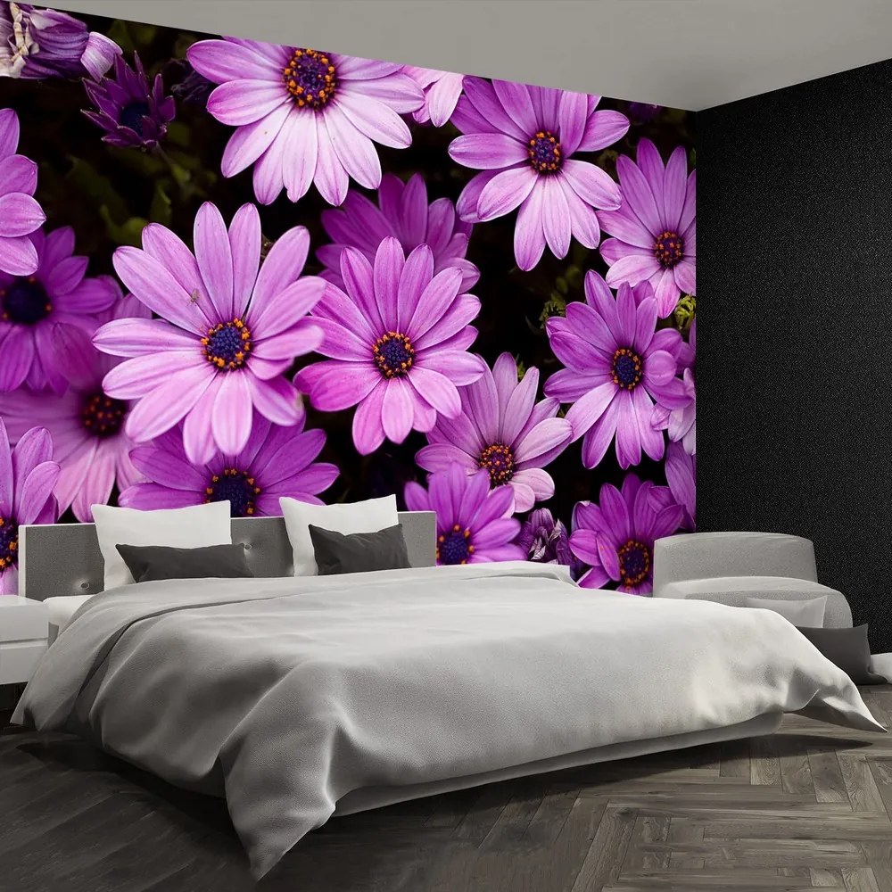 Fototapet Violet Flori