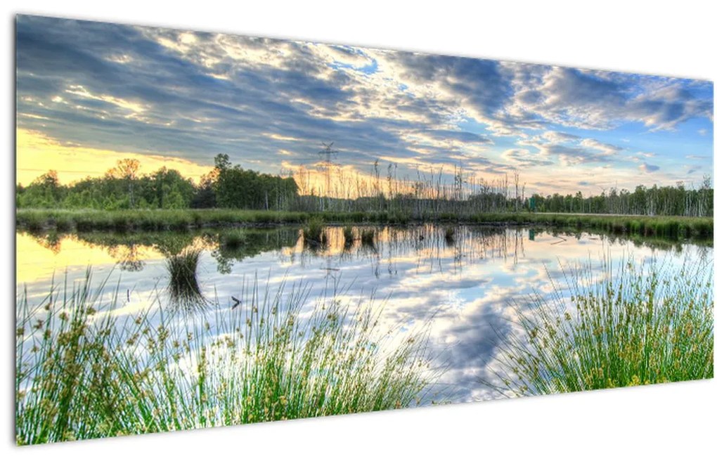 Tablou cu lac și trestie (120x50 cm)
