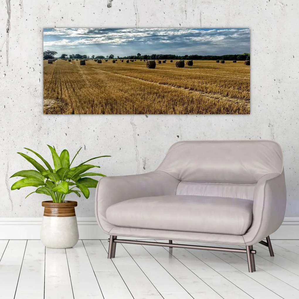 Tablou cu câmp recoltat (120x50 cm)