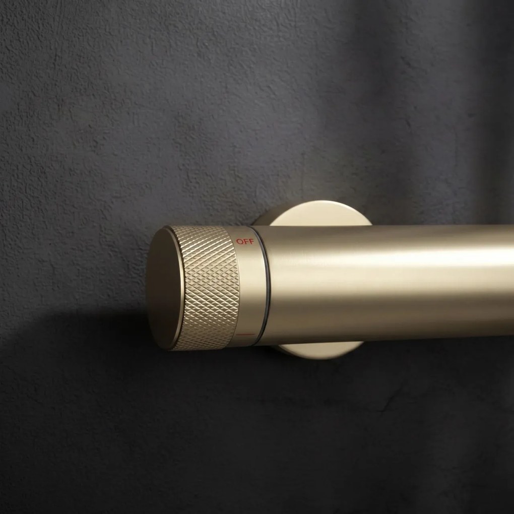 Set dus Rea Rivo Brush Gold