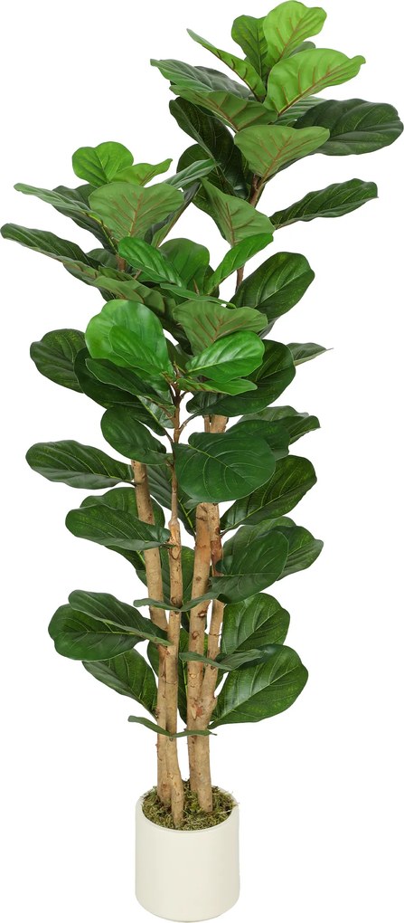 HOMCOM Plantă Artificială Ficus Lyrata 150 cm - Verde | Aosom Romania