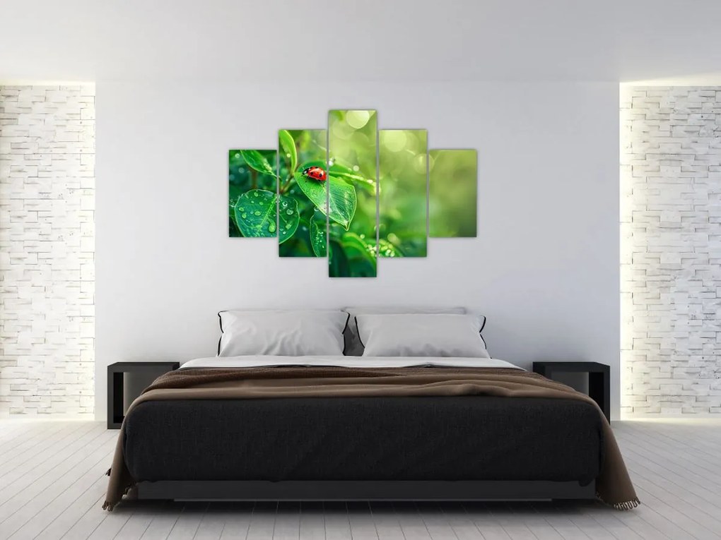 Tablou - Buburuza (150x105 cm)