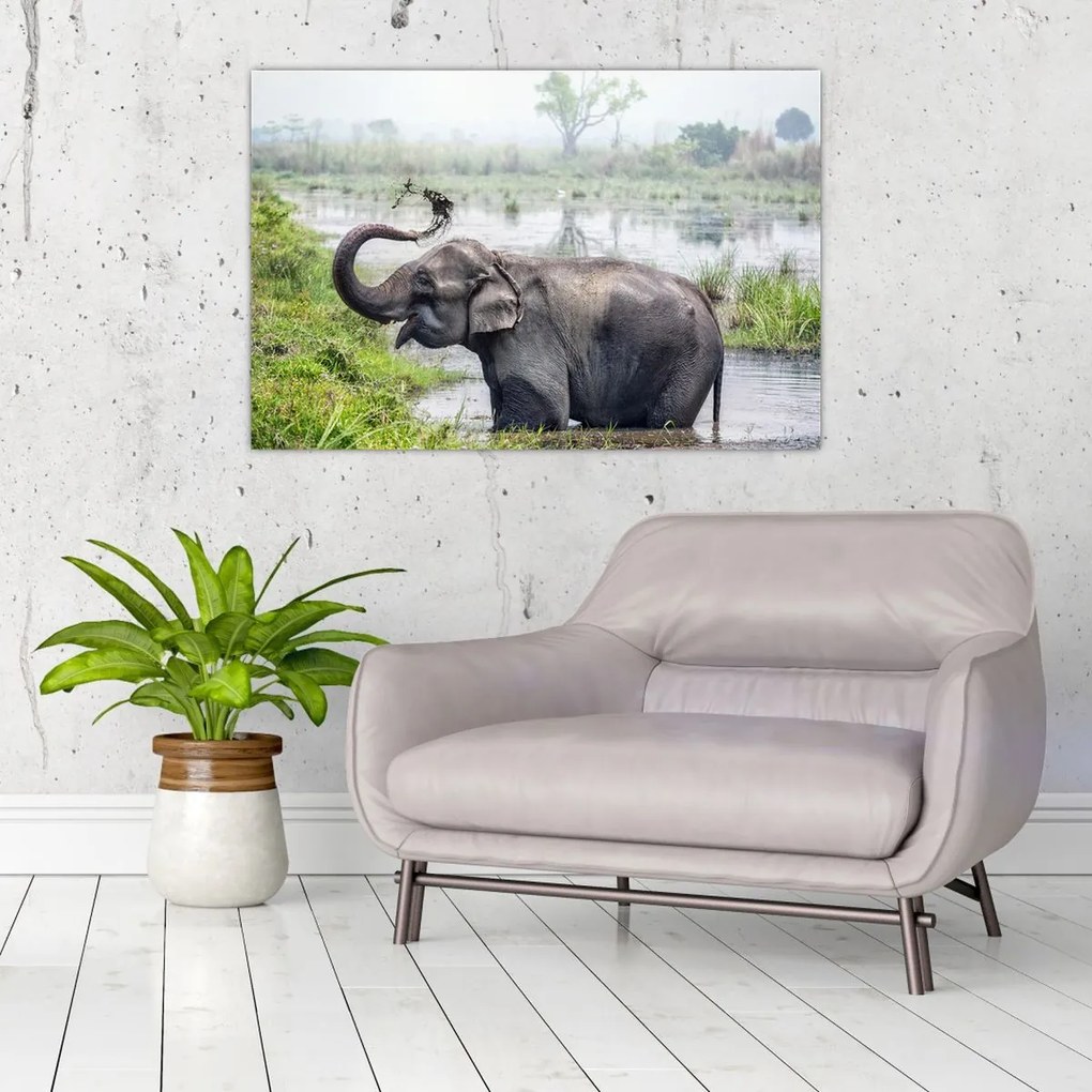 Tablou - Elefant de scăldat (90x60 cm)