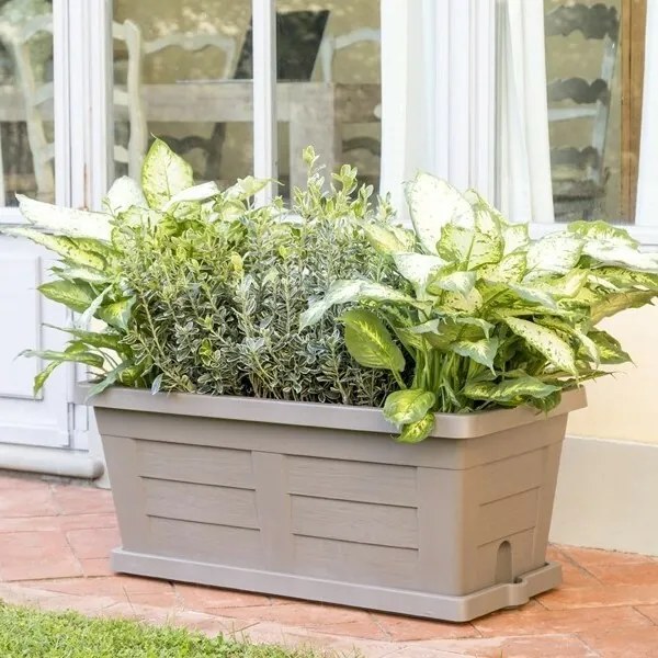 Jardinieră cu volum mare Bama Legno cappuccino, 80 x 40 x 35 cm, 80 cm