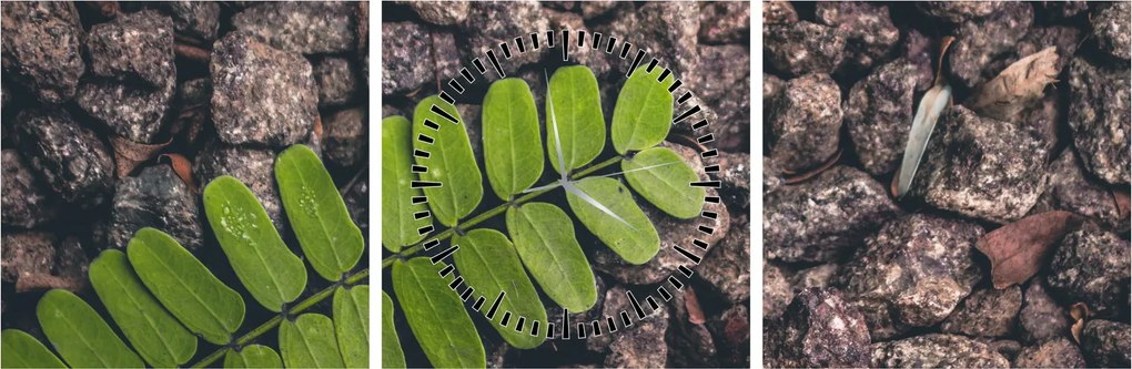 Tablou cu planta verde (cu ceas) (90x30 cm)