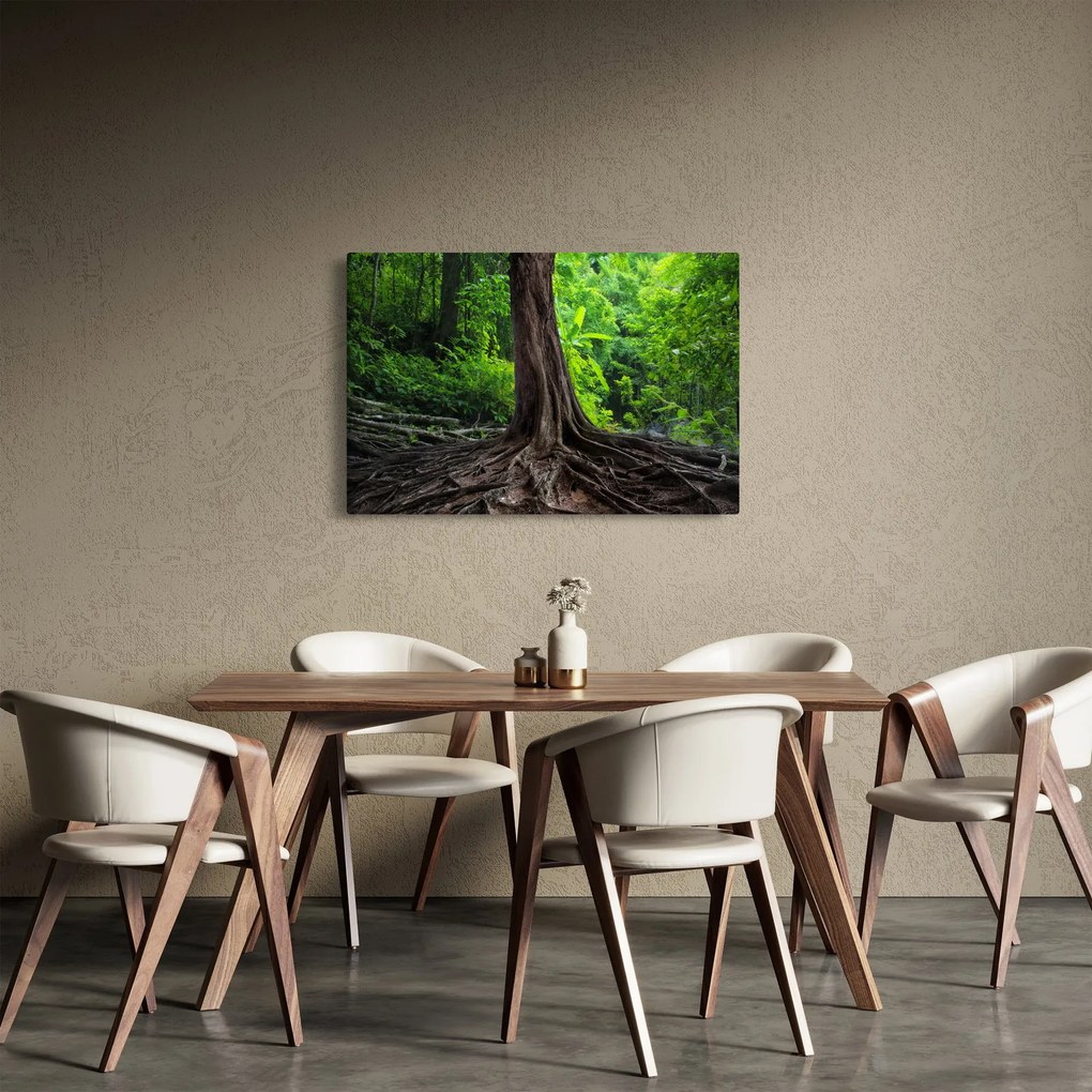 Tablou - Copac bătrîn cu rădăcini (90x60 cm)