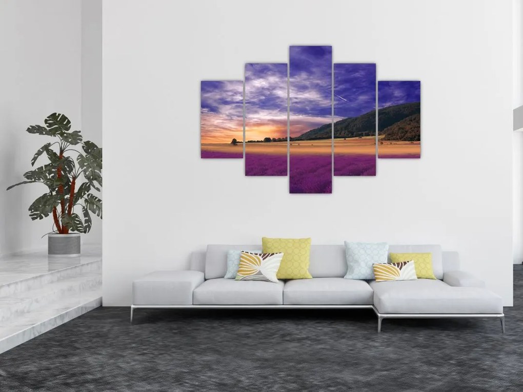 Tablou cu lunca cu lavandă (150x105 cm)