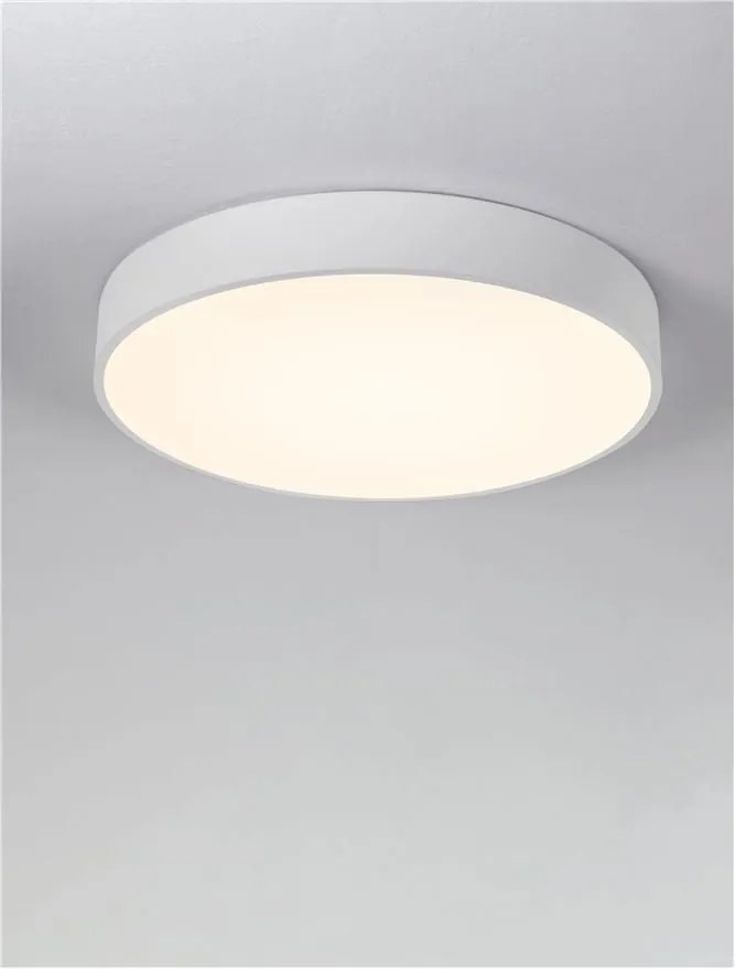 Plafoniera LED Luster alb, 50cm