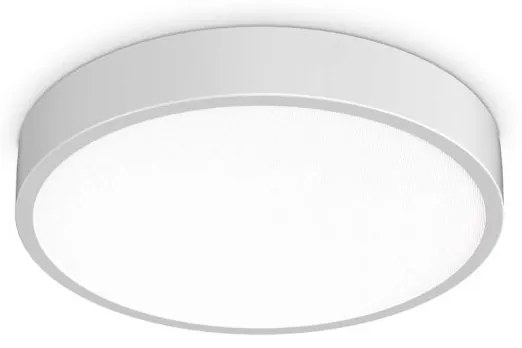 Plafoniera LED pentru baie IP44 Ray pl d40 alb