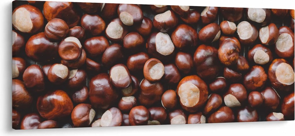 Tablou - Castane coapte (120x50 cm)