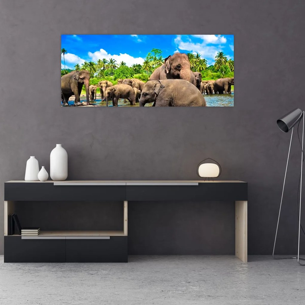 Tablou - Elefanți, Sri Lanka (120x50 cm)