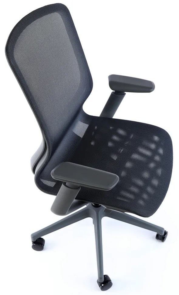 Scaun de birou Lareno, negru/gri