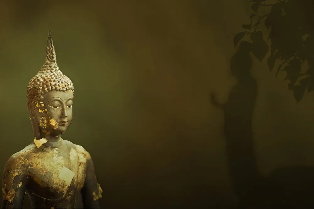 Tapet Buddha și reflecția lui
