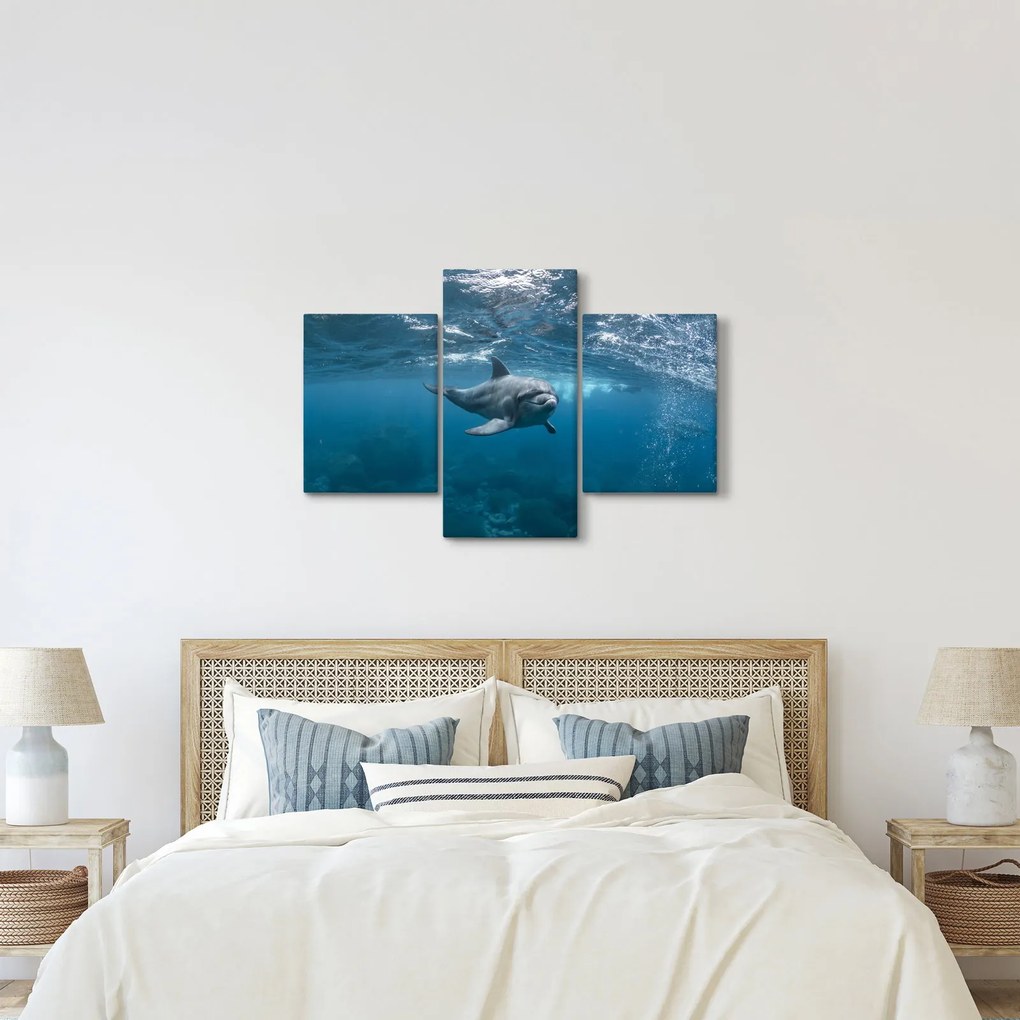 Tablou - Delfin sub apă (90x60 cm)