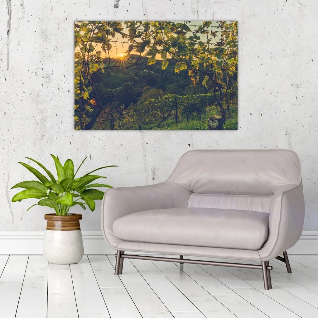 Tablou - Podgorii (90x60 cm)