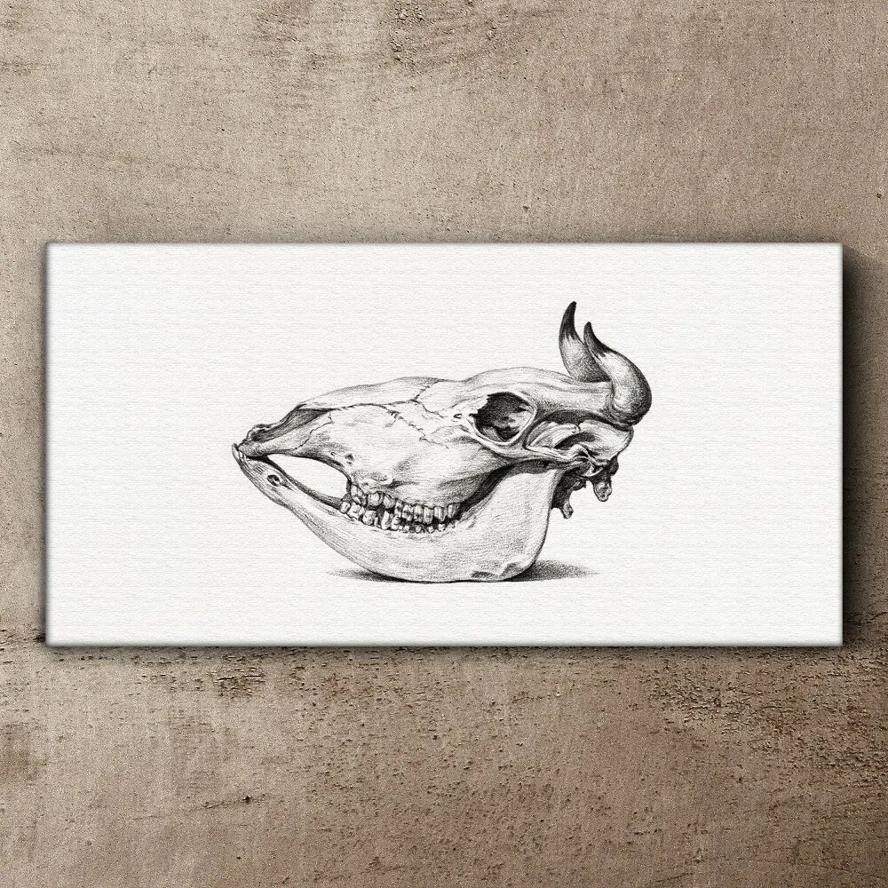 Tablou canvas Desen craniu de vacă