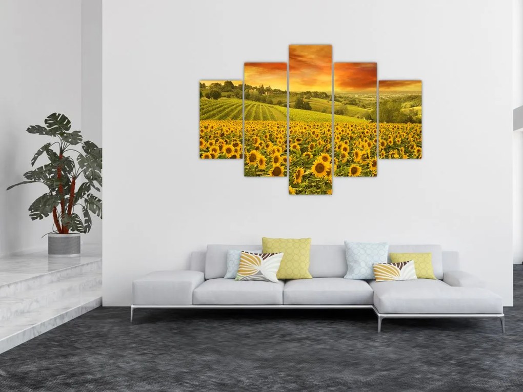 Tablou - Câmp de floarea-soarelui (150x105 cm)