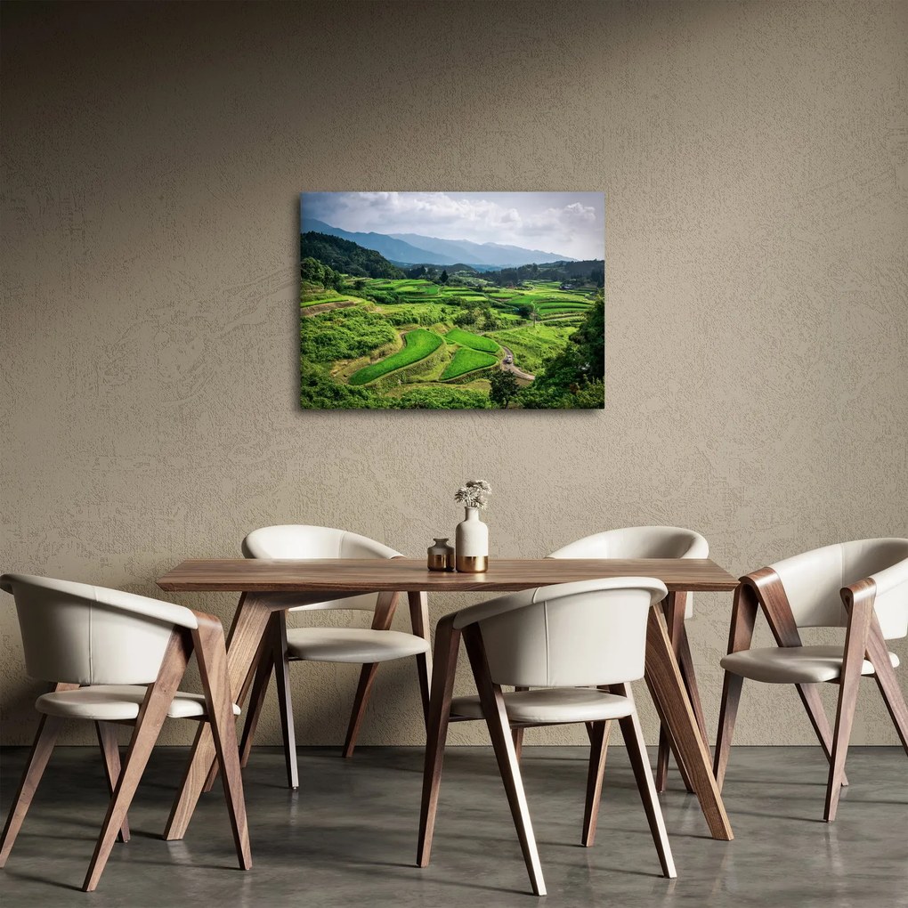 Tablou cu câmp de orez (70x50 cm)
