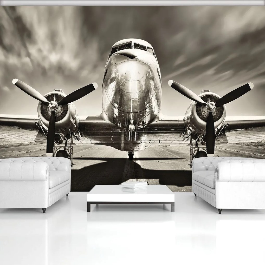 Fototapet - Avion (254x184 cm)