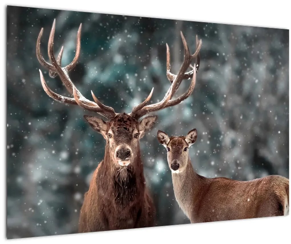 Tablou - Cerb și căprioare în pădurea înzăpezită (90x60 cm)