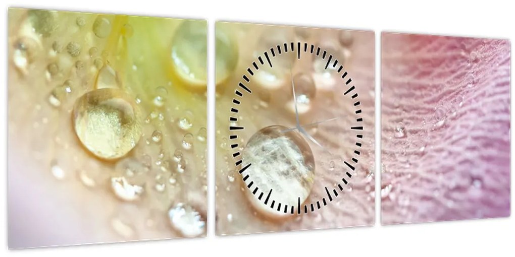 Tablou - Picături (cu ceas) (90x30 cm)