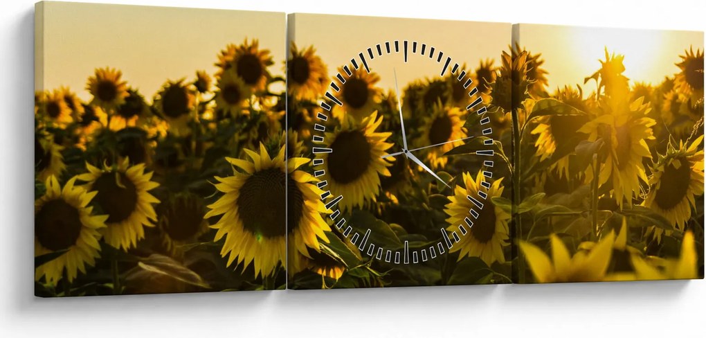 Tablou cu lan de floarea soarelui (cu ceas) (90x30 cm)