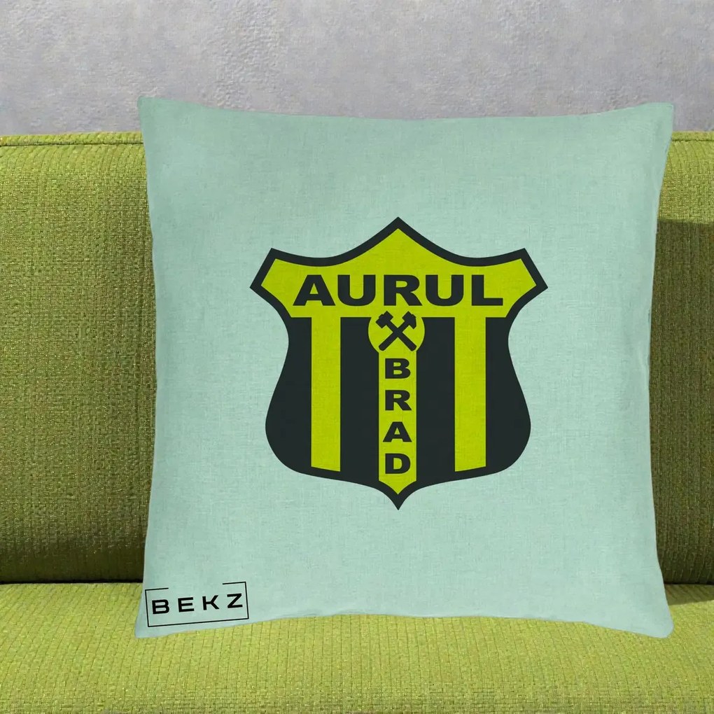 Perna Personalizata Aurul Brad Fotbal, 40x40 cm, Verde Menta, Husa Detasabila, Perna Inclusa, BEKZ®