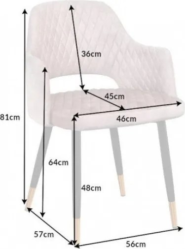 Set de 2 scaune elegante Paris greige