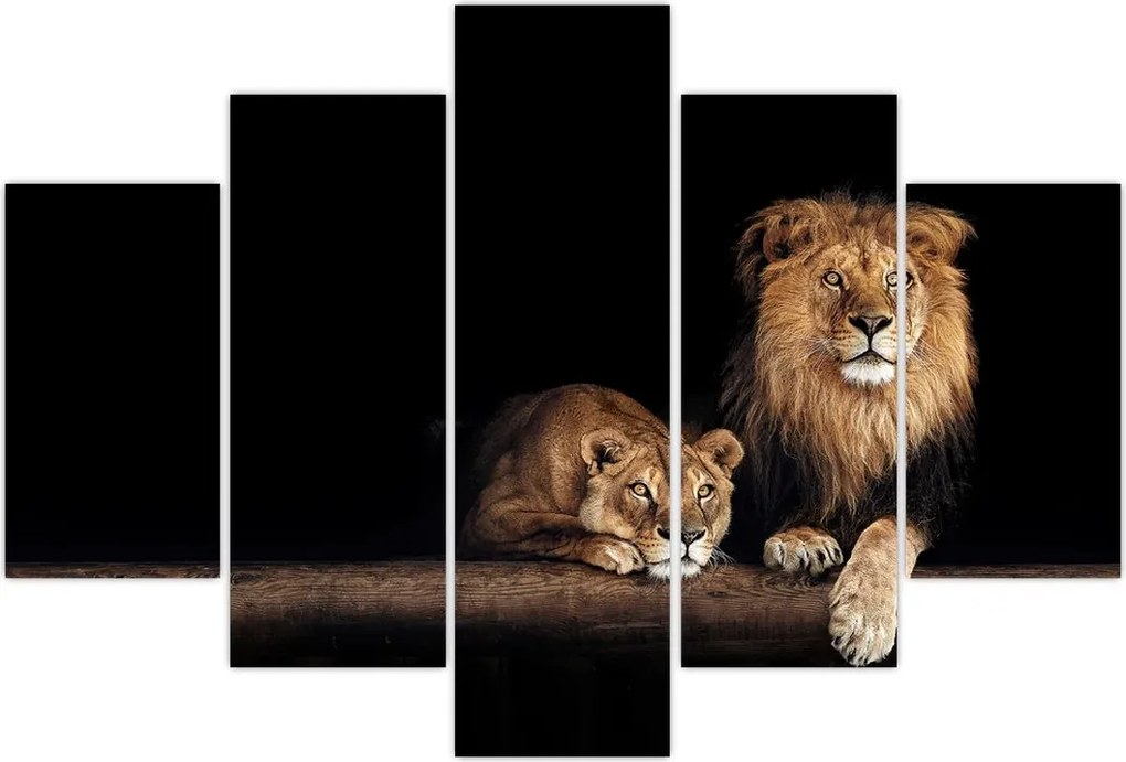 Tablou - Leu și leoaică (150x105 cm)