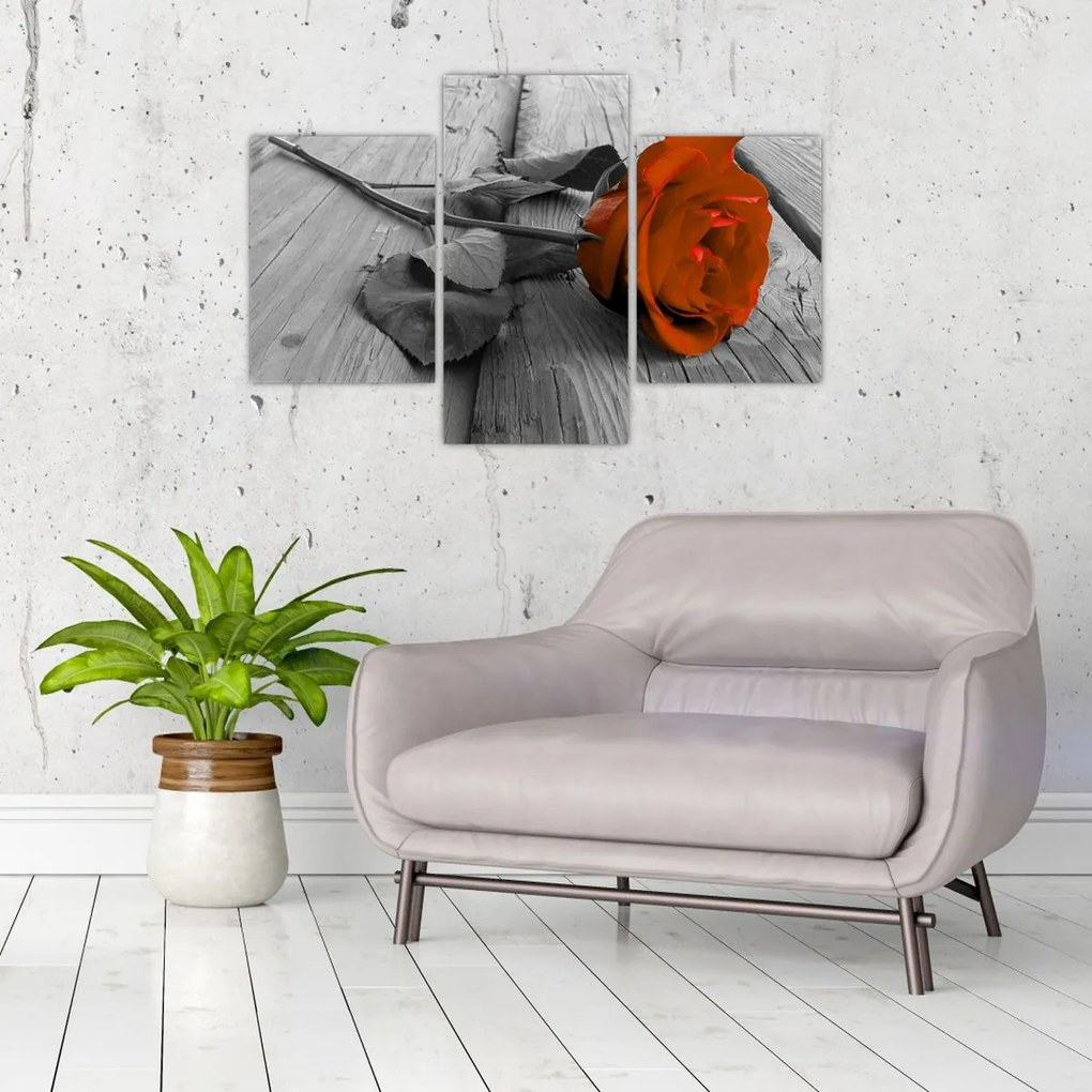 Tablou - Trandafir portocaliu (90x60 cm)
