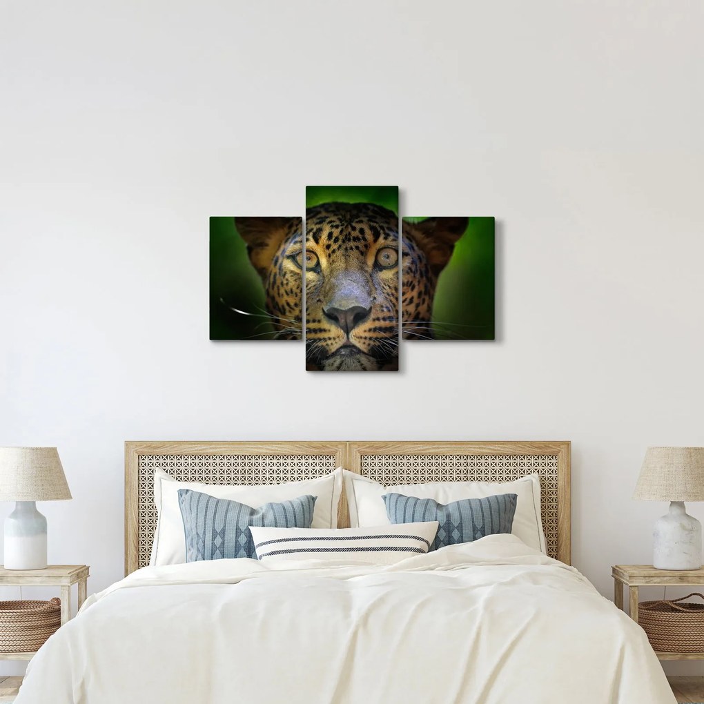 Tablou - Portretul leoparduslui, Sri Lanka (90x60 cm)