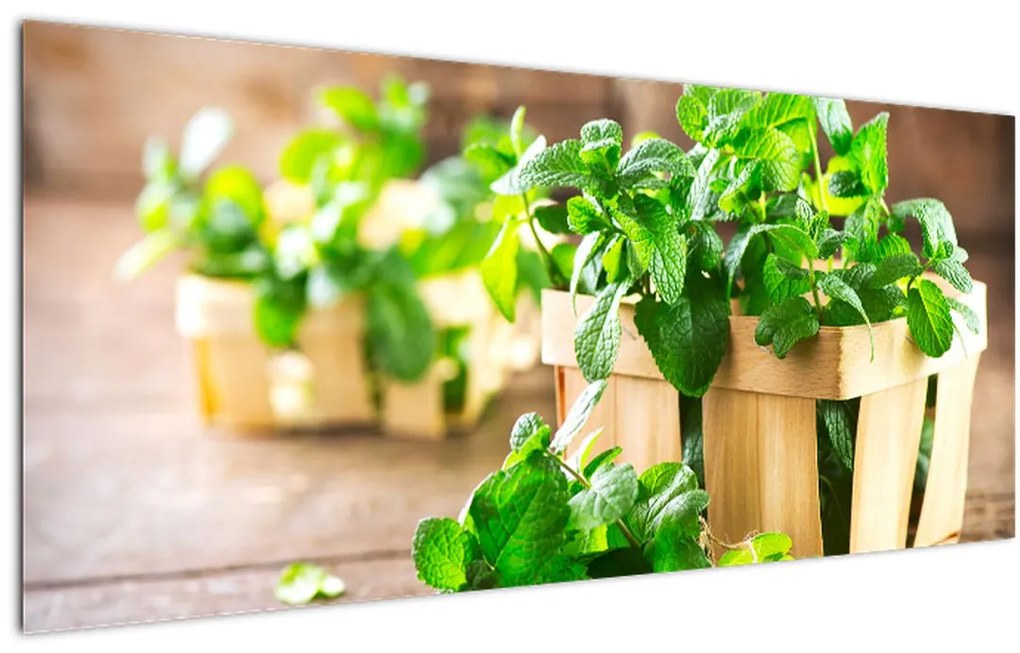 Tablou cu menta proaspătă (120x50 cm)
